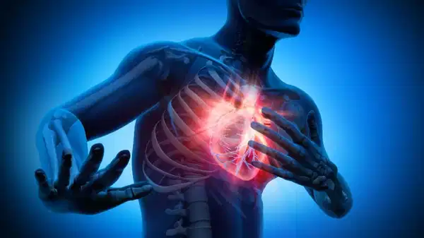 uzmanindan altin tavsiyeler damarlarinizi korumak icin bu onerilere dikkat edin 83dwEFa6