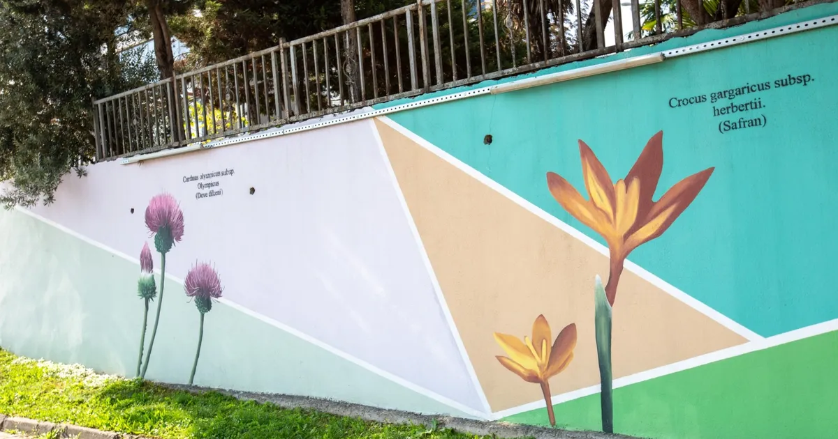 bursanin hazineleri duvarlara isleniyor g3WRJK1a