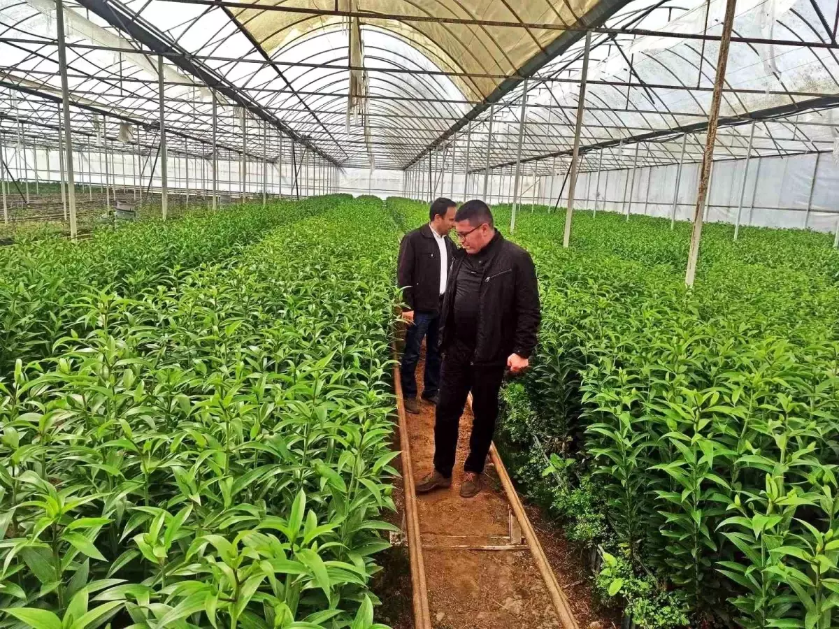 emette seracilik teknik gezisi 9HGXgcwD.jpg