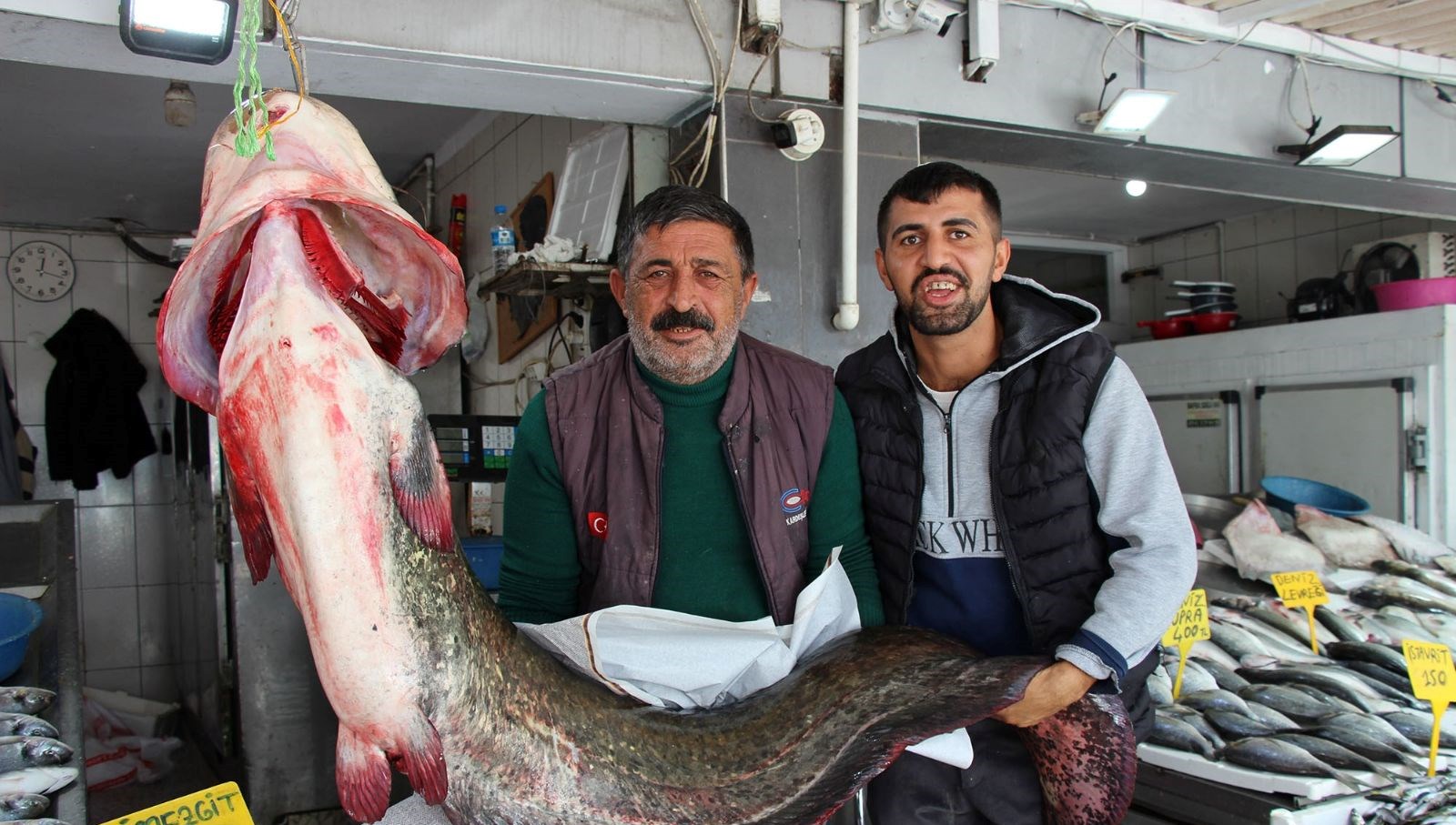 kilosu 250 liradan satisa sunuldu tam 85 kilogram agirliginda twuOeUGt