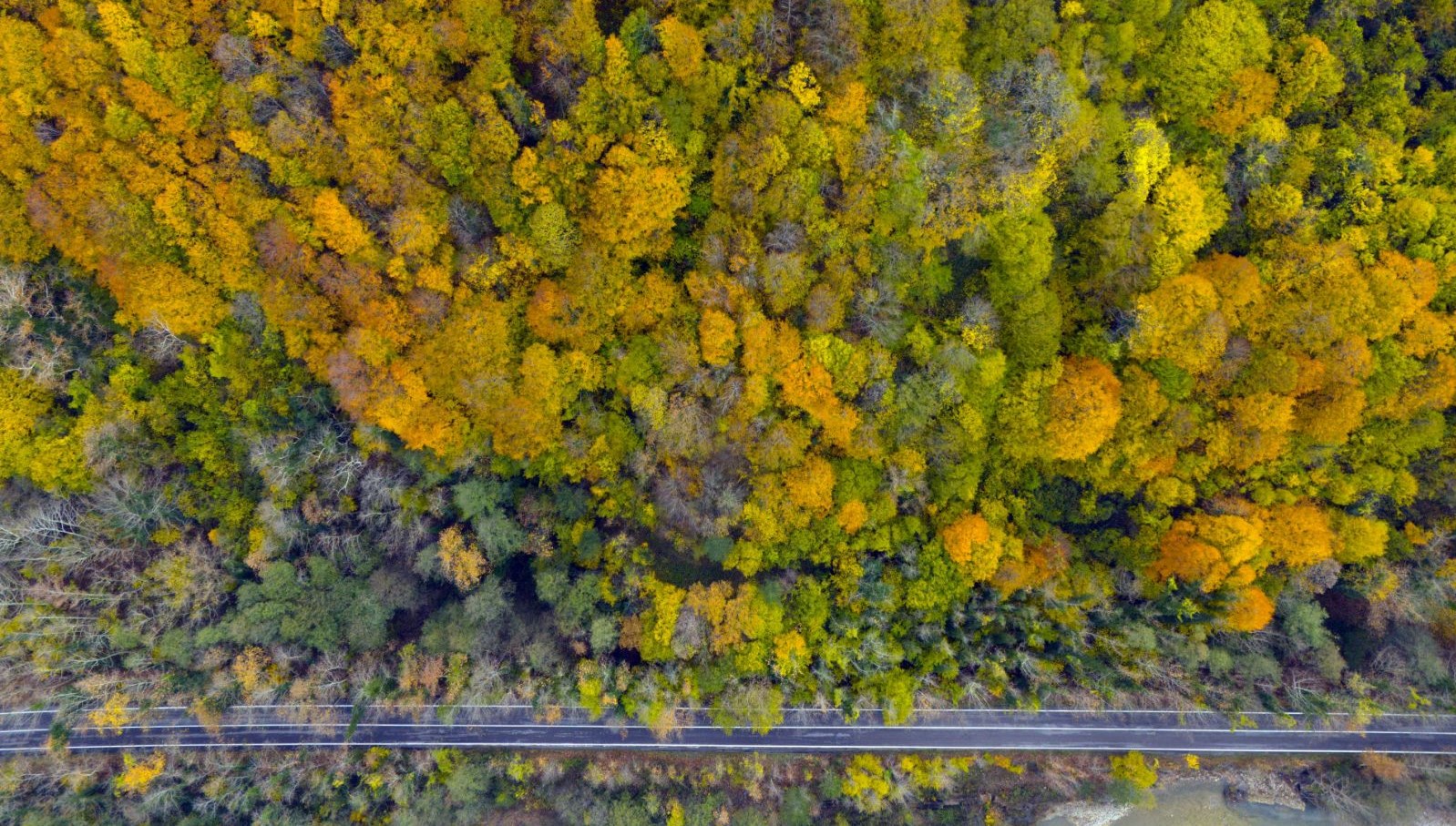 safranbolu ve amasra arasinda kopru agac tunel yol zavuWhhK.jpg