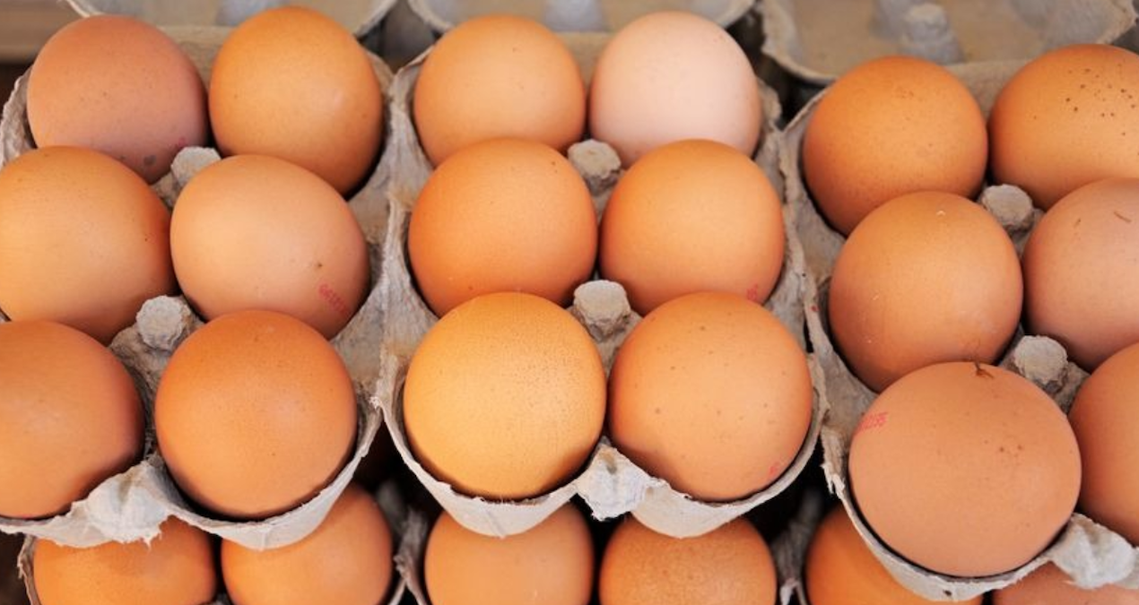 yumurta krizi kapida uretimde sert dusus QynUOiqG.jpg