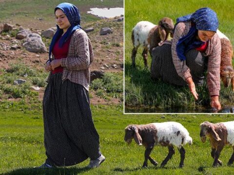 3 bin 300 rakimli yaylada sira disi dostluk nereye gitsem benim pesimde 5k2kl1Cd